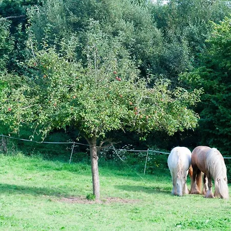 Ferme D'ervee De Saint-roch Holiday home