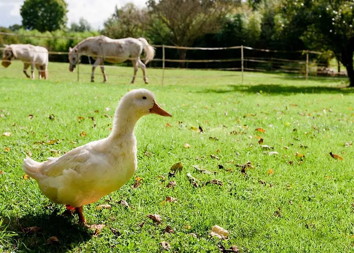 Ferme D'ervee De Saint-roch Holiday home *