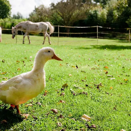 Ferme D'ervee De Saint-roch Feriehus *